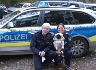 Neu im Polizeidienst: Hund "Peng" tröstet Kinder nach Unfällen