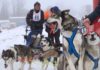 Schlittenhunderennen im winterlichen Westerwald