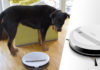 Hundehaare adieu: Staubsauger-Roboter Ecovacs Deebot M88 im Test