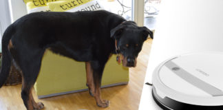 Hundehaare adieu: Staubsauger-Roboter Ecovacs Deebot M88 im Test