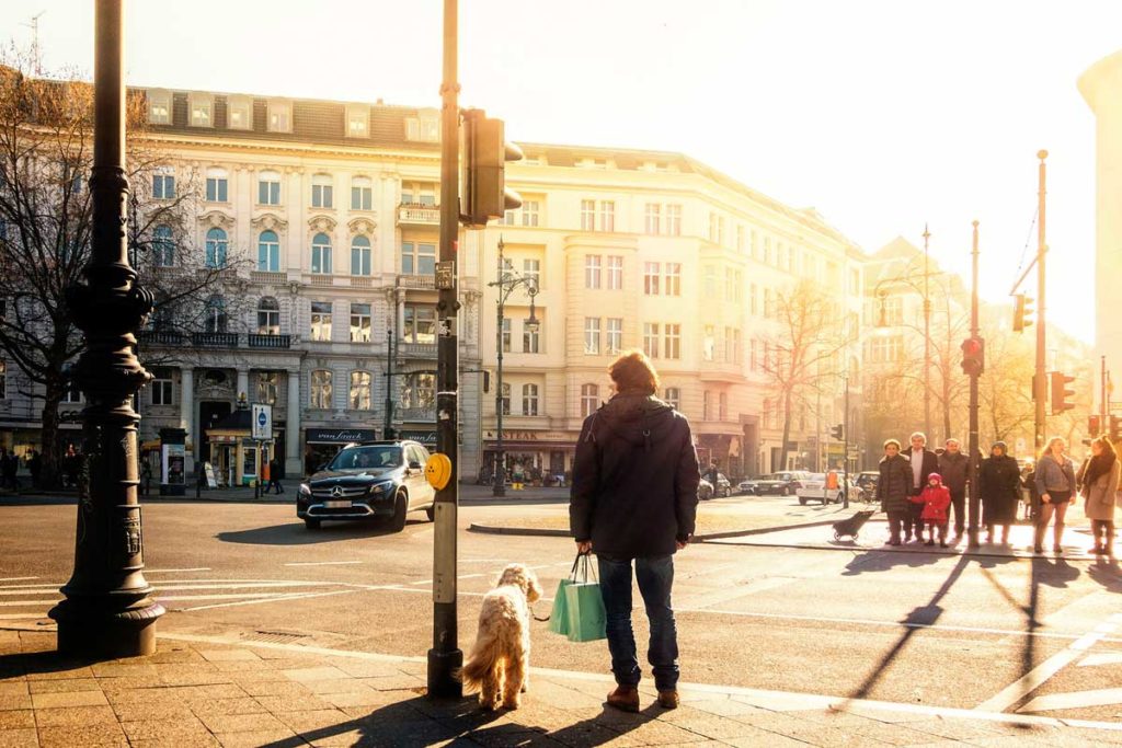 Immer mehr Hunde in Berlin gemeldet