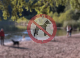 Hundeauslaufgebiet Grunewaldsee - Bye Bye Hundeauslaufgebiet?