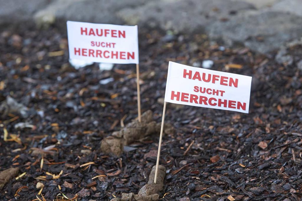 In Goslar sollen Bürger und Touristen Hundekot mit Fähnchen markieren