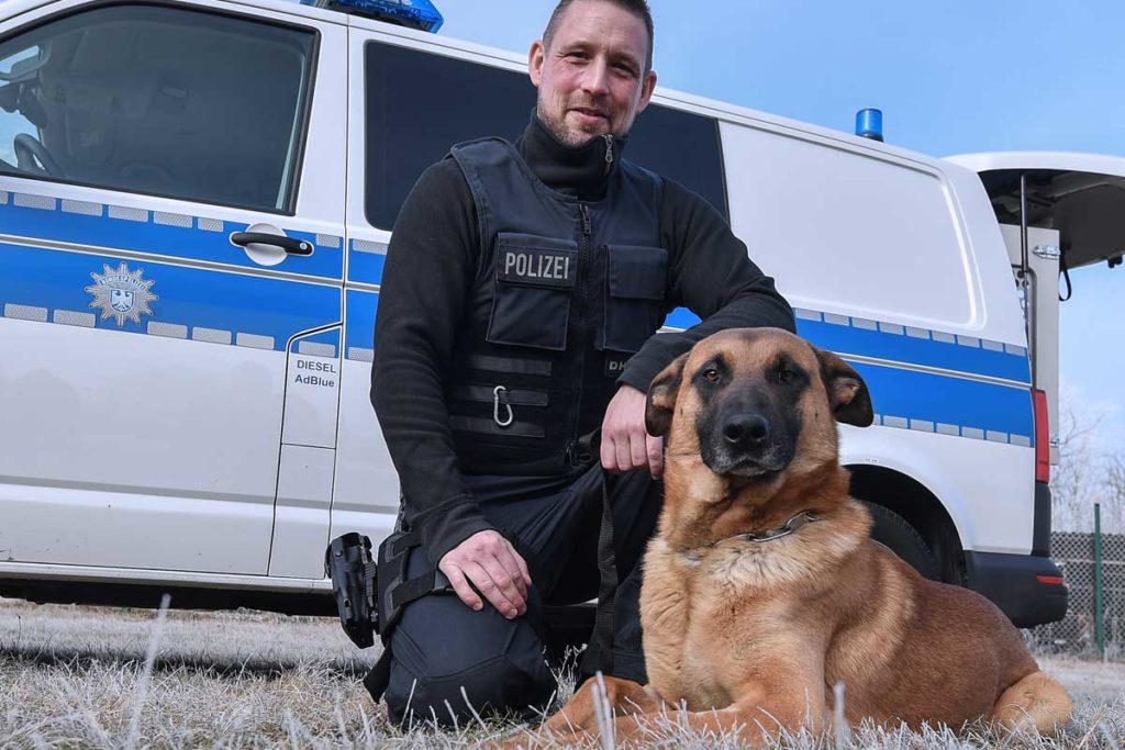 Kein Pardon für Langfinger: Polizeihund Ivo hat den Dreh raus