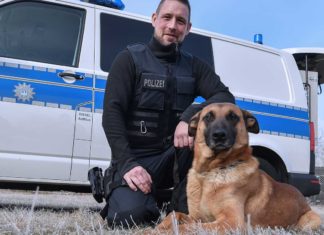 Kein Pardon für Langfinger: Polizeihund Ivo hat den Dreh raus