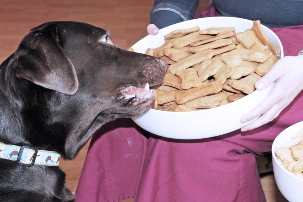 Meerschweinchen-Müsli und Hundefutter: Milliardenmarkt Tierbedarf