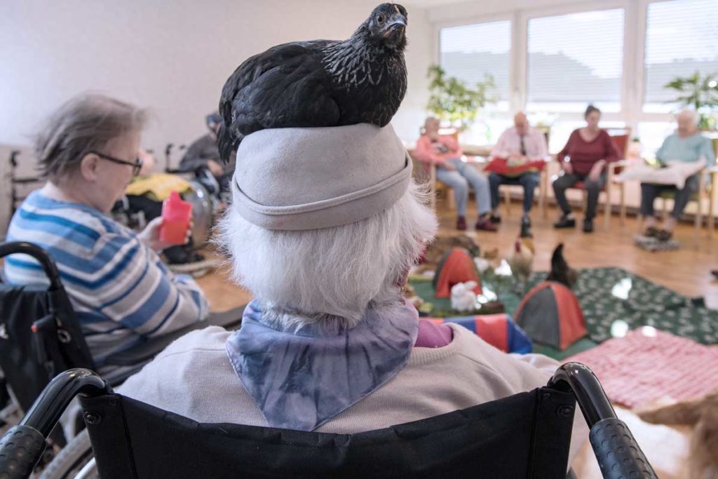 Tiergestützte Therapie - mit Hund, Katze und Co.