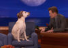 Conan O'Brien macht sich mit Hund über Gosling-Gate bei Goldener Kamera lustig