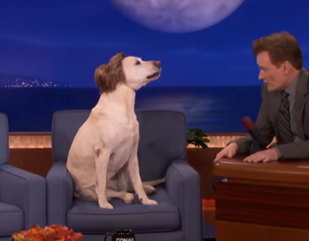 Conan O'Brien macht sich mit Hund über Gosling-Gate bei Goldener Kamera lustig