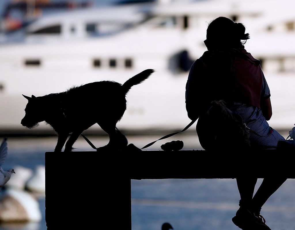 DNA-Probe gegen Hundekot: Málaga nimmt genetischen Pfotenabdruck