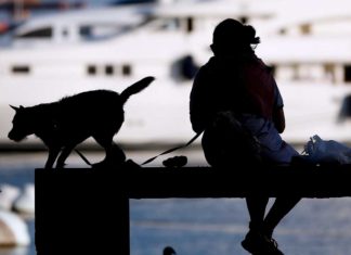 DNA-Probe gegen Hundekot: Málaga nimmt genetischen Pfotenabdruck