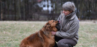 Gefährdete Haustier-Rassen: Verein rettet Hühner und Hunde vor dem Aussterben