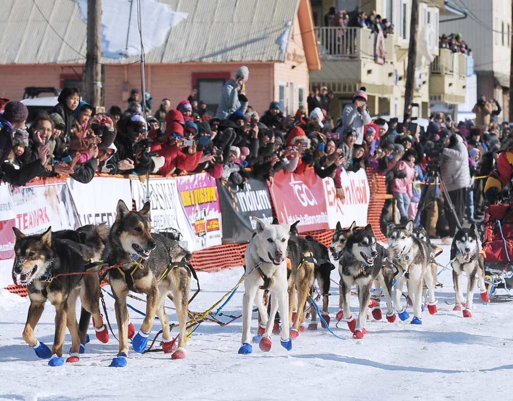 Hundeschlittenrennen Iditarod: 57-Jähriger stellt Rekorde auf