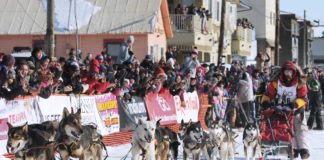 Hundeschlittenrennen Iditarod: 57-Jähriger stellt Rekorde auf