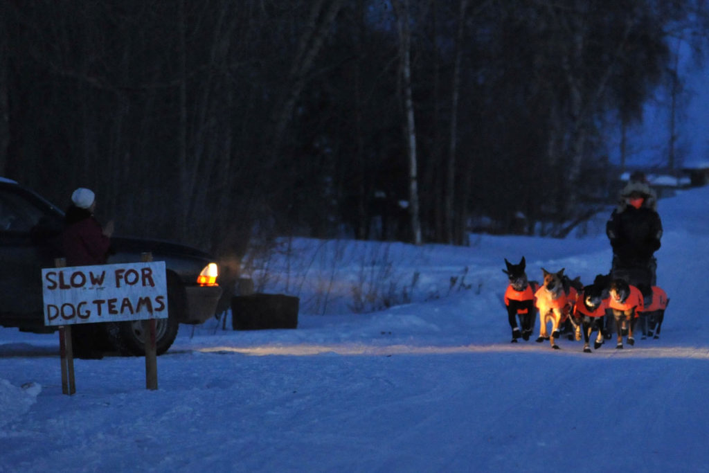 Klirrende Kälte, kein Schnee beim Hundeschlittenrennen Iditarod