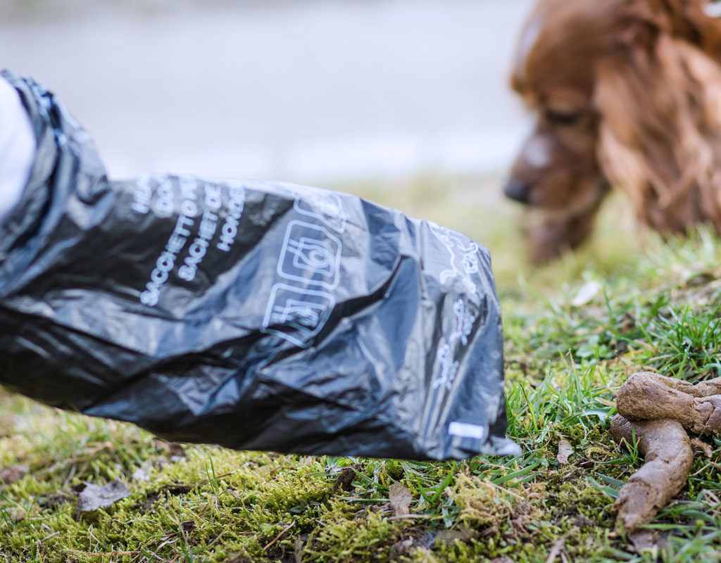 Tüten gegen Tretminen: Städte suchen Paten für Hundekotbeutel