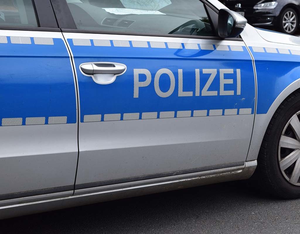 Unfall mit toten Hunden - Fahrerin war Tierschützerin