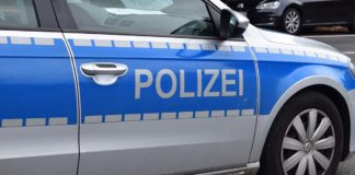 Unfall mit toten Hunden - Fahrerin war Tierschützerin