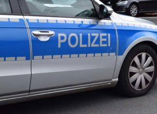 Unfall mit toten Hunden - Fahrerin war Tierschützerin