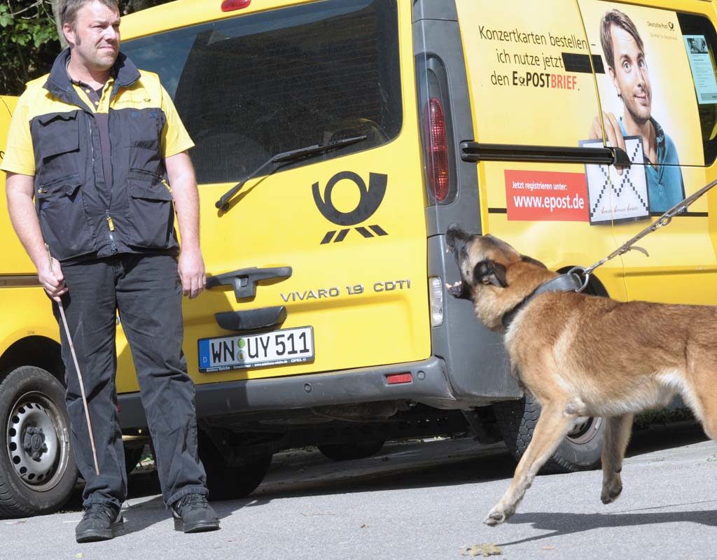 Wer hat Angst vorm bösen Hund? - Training für Postboten