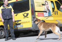 Wer hat Angst vorm bösen Hund? - Training für Postboten