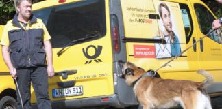 Wer hat Angst vorm bösen Hund? - Training für Postboten