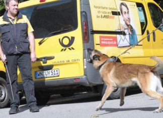 Wer hat Angst vorm bösen Hund? - Training für Postboten