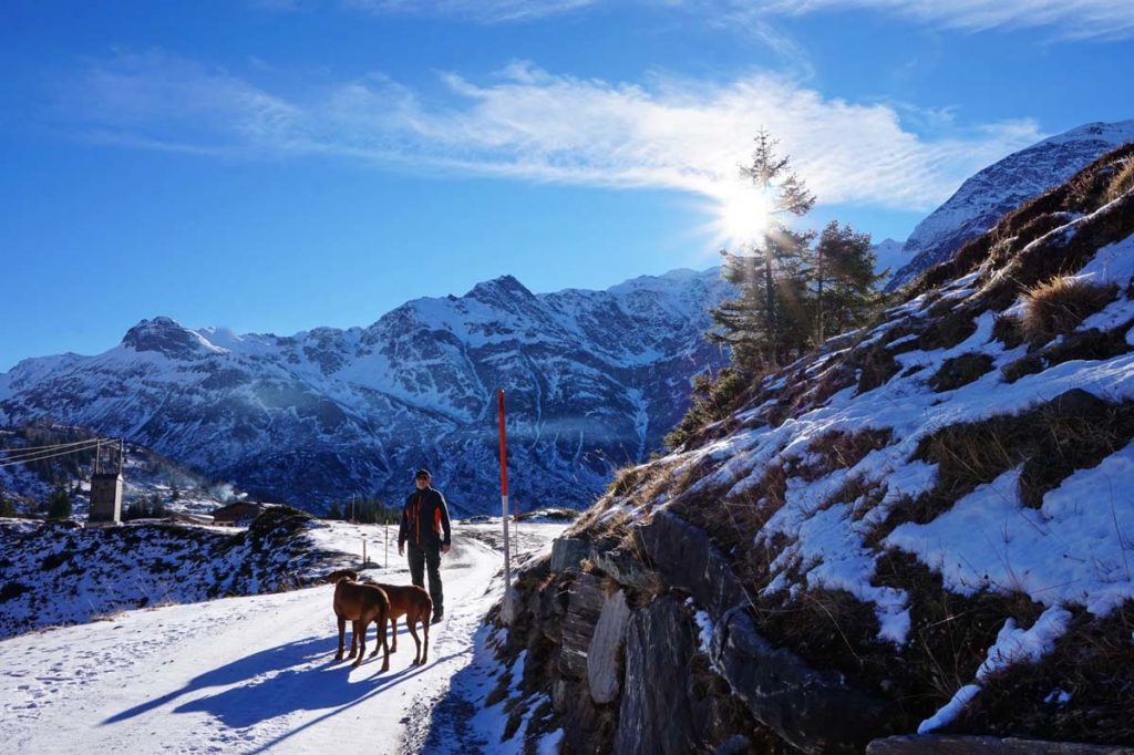 Winterwanderwege im Gasteinertal Österreich - Wandern mit Hund