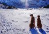 Winterwanderwege im Gasteinertal Österreich - Wandern mit Hund