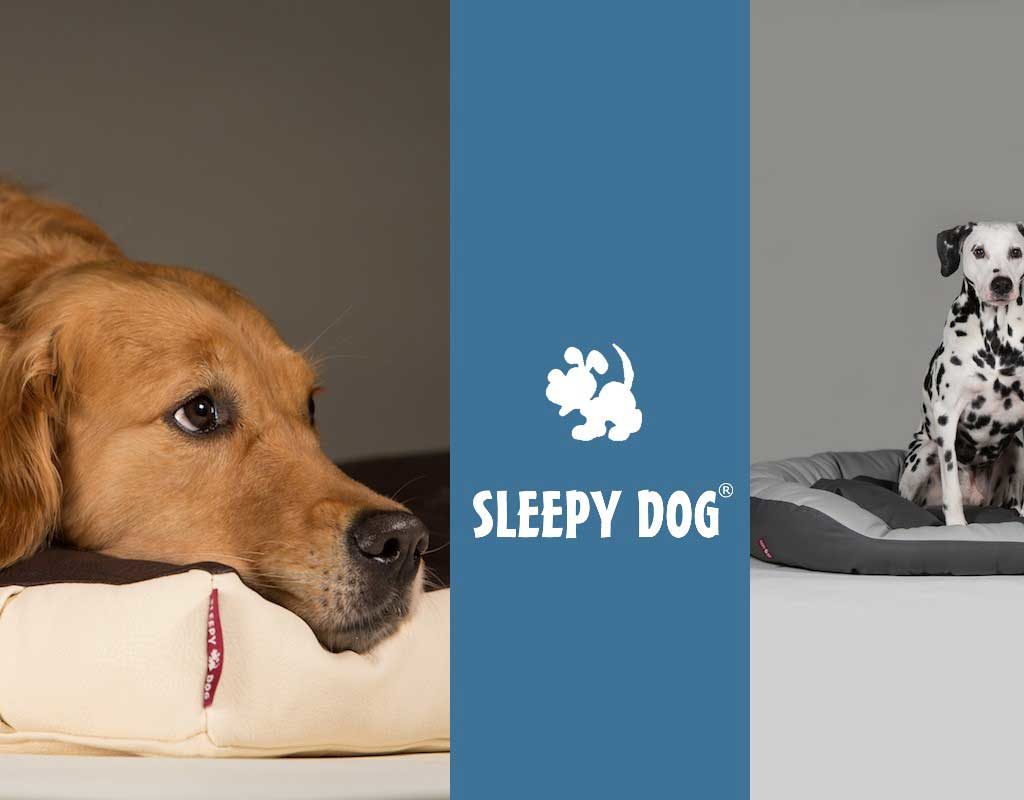 Hundebett im Härtetest "Sleepy Dog"