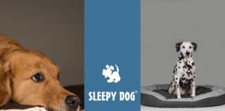 Hundebett im Härtetest "Sleepy Dog"