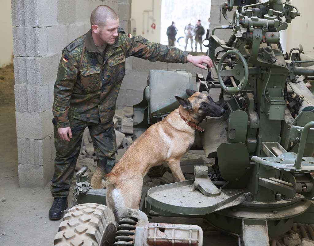 Therapie auf vier Pfoten - Noch mehr Jobs für Hunde der Bundeswehr