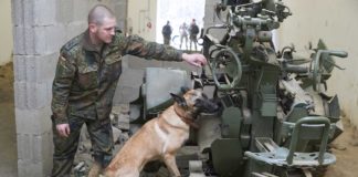 Therapie auf vier Pfoten - Noch mehr Jobs für Hunde der Bundeswehr