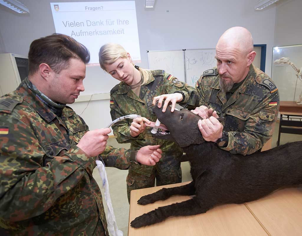 Therapie auf vier Pfoten - Noch mehr Jobs für Hunde der Bundeswehr