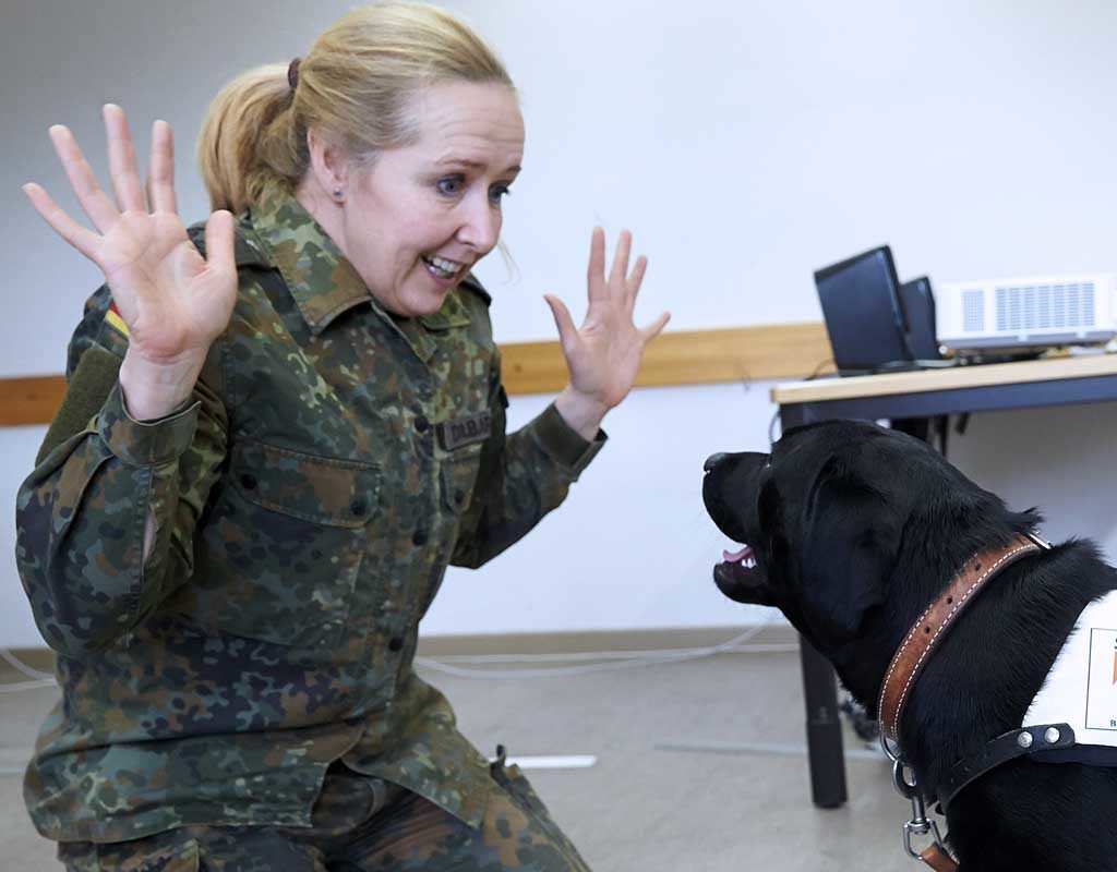 Therapie auf vier Pfoten - Noch mehr Jobs für Hunde der Bundeswehr