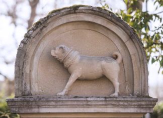 Zu schön, um wahr zu sein: Die 300 Jahre alte Legende vom treuen Mops