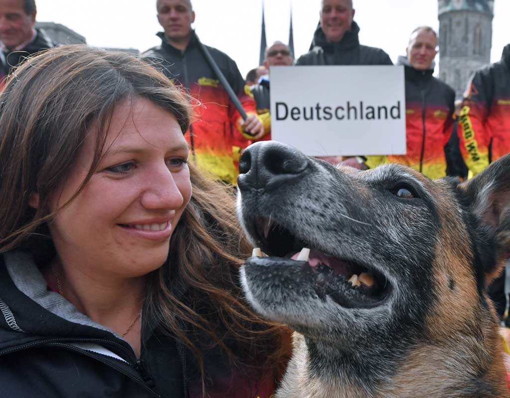 Deutschlands Belgische Schäferhunde sind die besten