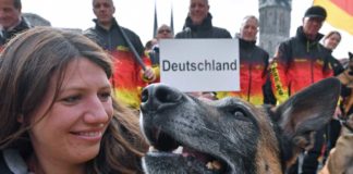 Deutschlands Belgische Schäferhunde sind die besten