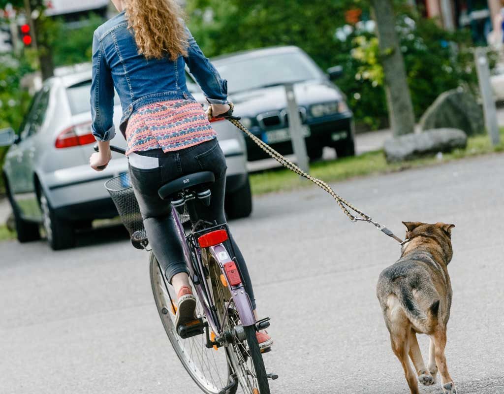 Hundeleine nicht um den Fahrradlenker legen