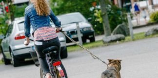 Hundeleine nicht um den Fahrradlenker legen