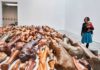 "dogumenta": Kunstausstellung für Hunde in New York geplant