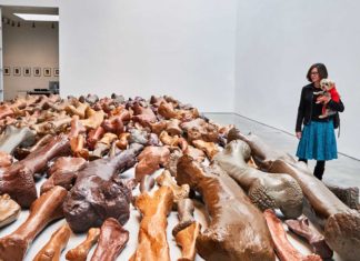 "dogumenta": Kunstausstellung für Hunde in New York geplant