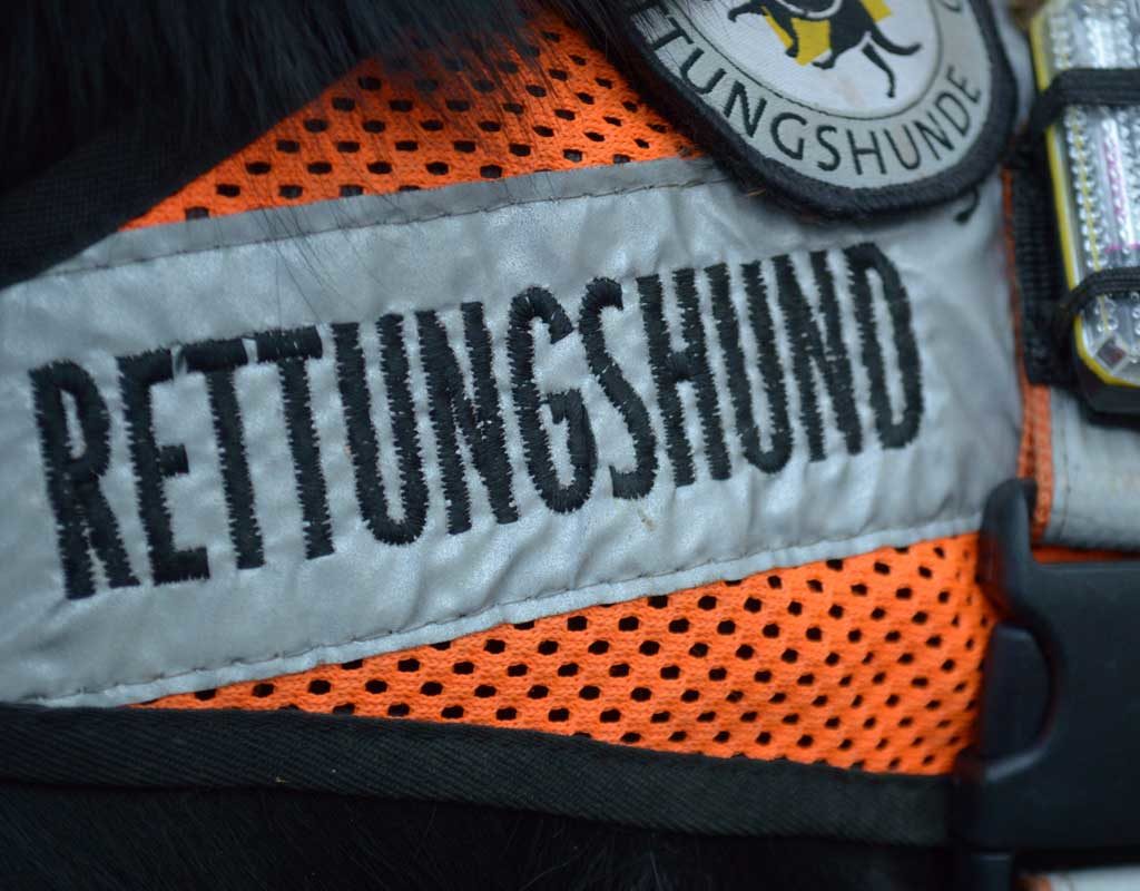 Früh übt sich: So wird ein Welpe zum Rettungshund