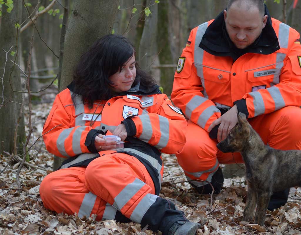 Früh übt sich: So wird ein Welpe zum Rettungshund