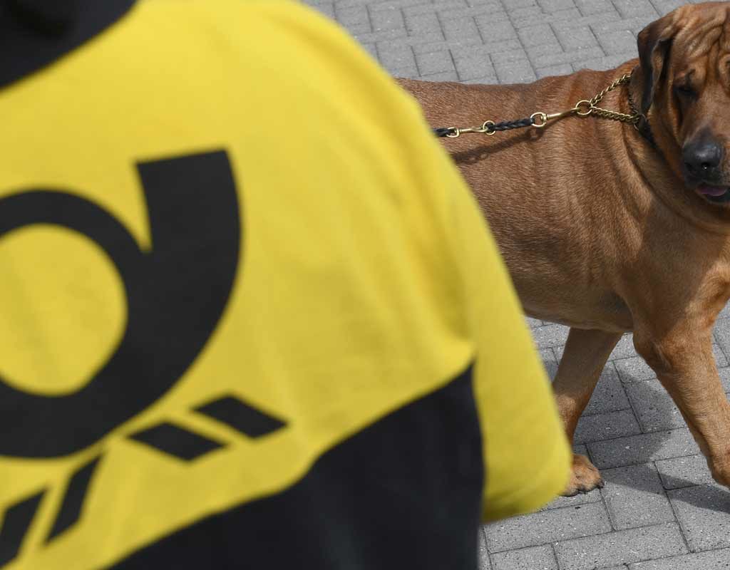 Wegrennen oder Abwehren? - Die Angst des Postboten vor dem Hund