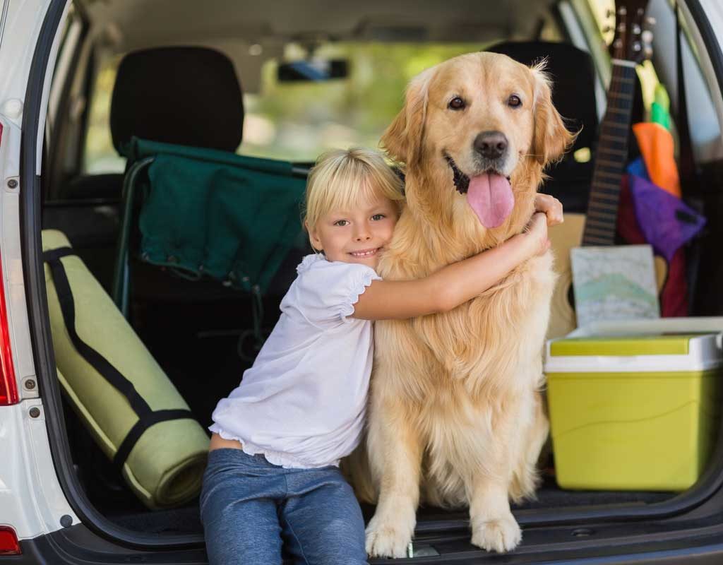 Für eine gute Reise mit dem Hund - Was auf keinen Fall im Koffer fehlen darf!