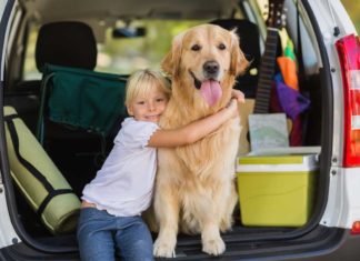 Für eine gute Reise mit dem Hund - Was auf keinen Fall im Koffer fehlen darf!