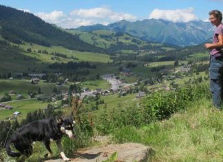 Shakespeare auf der Alp bietet Wölfen die Stirn