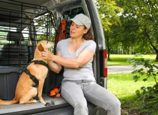 Die richtige Zeckenvorsorge für Menschen und Hunde