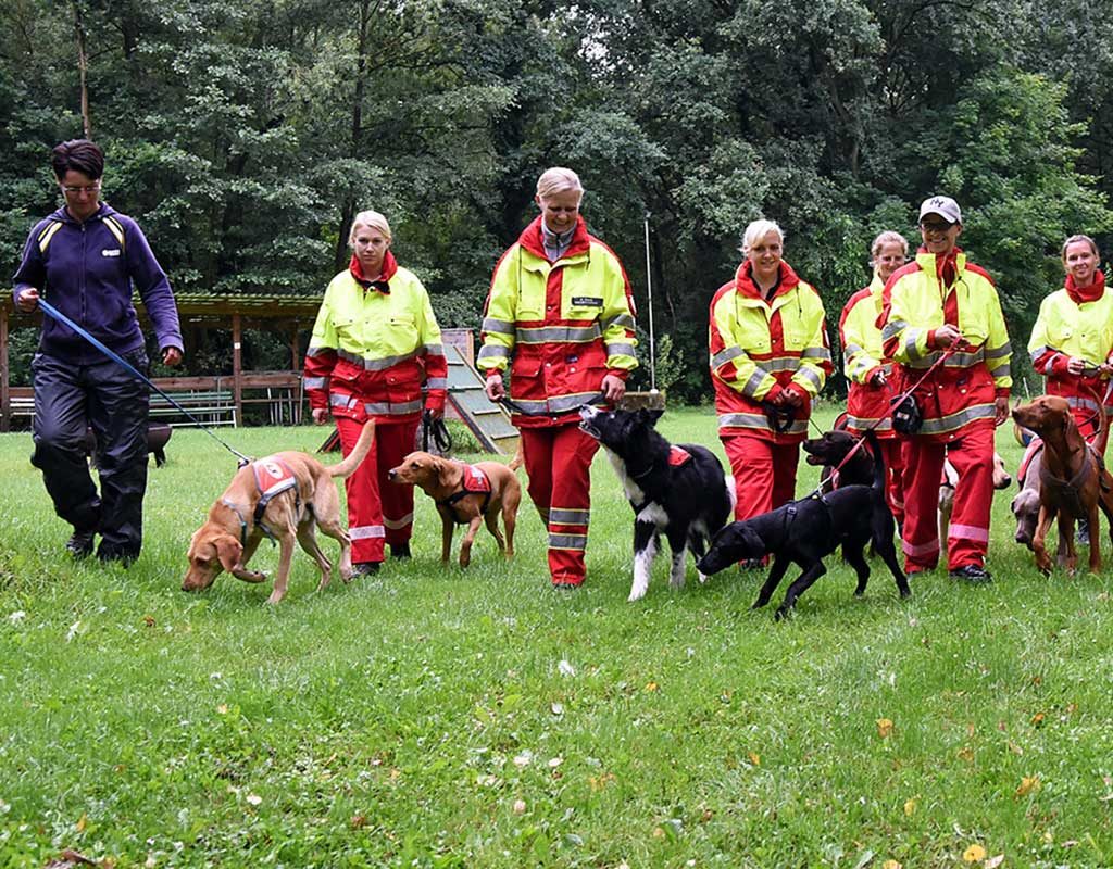 Rettungshunde suchen Vermisste